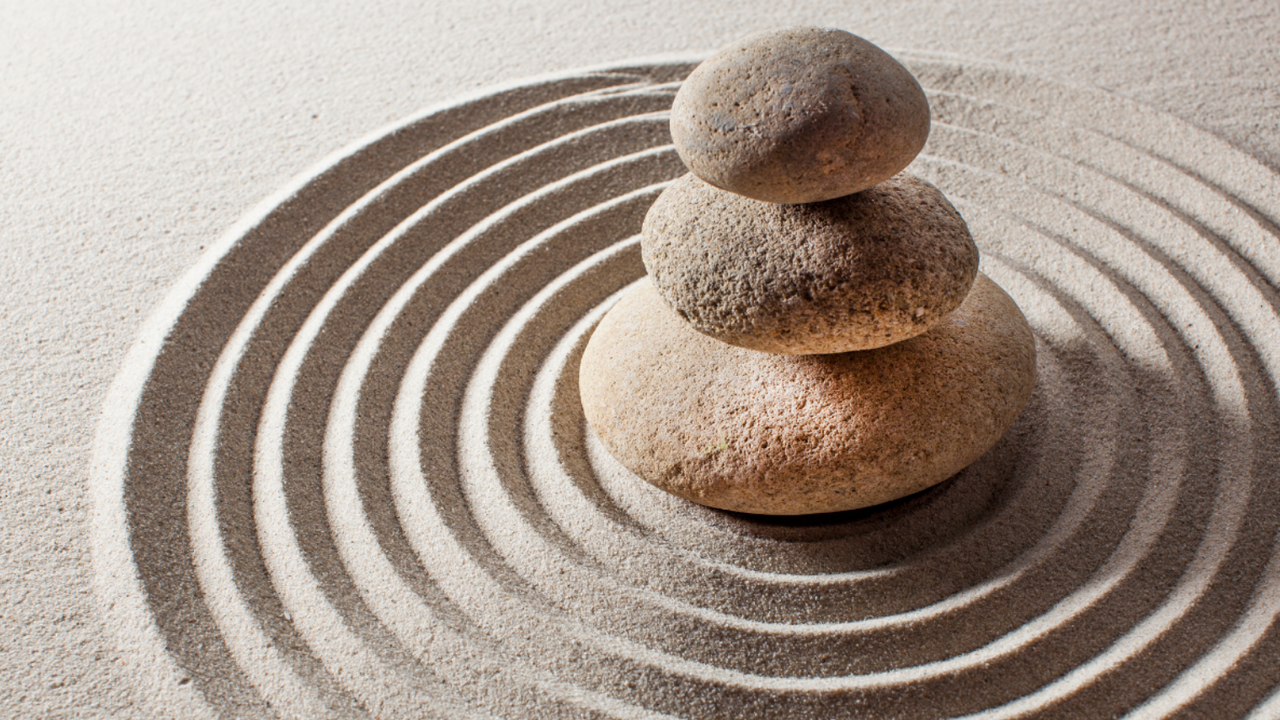 mind body connection