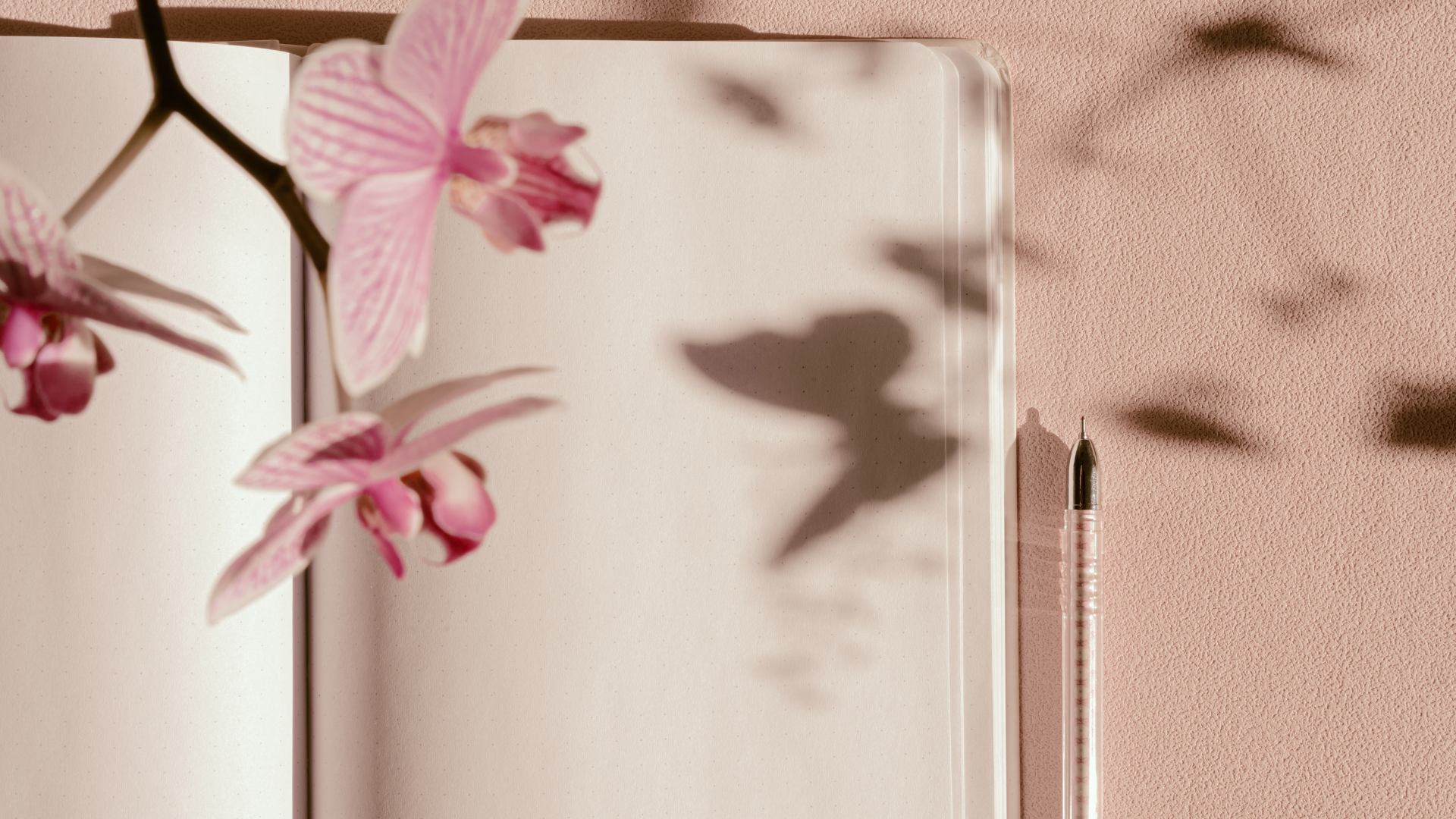 journaling to support emotional wellbeing